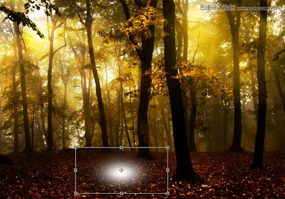 Photoshop打造一个梦幻光斑的树林场景效果,PS教程,16xx8.com教程网