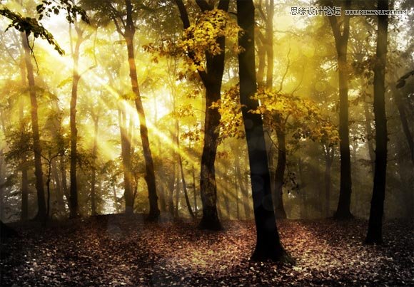 Photoshop打造一个梦幻光斑的树林场景效果,PS教程,16xx8.com教程网