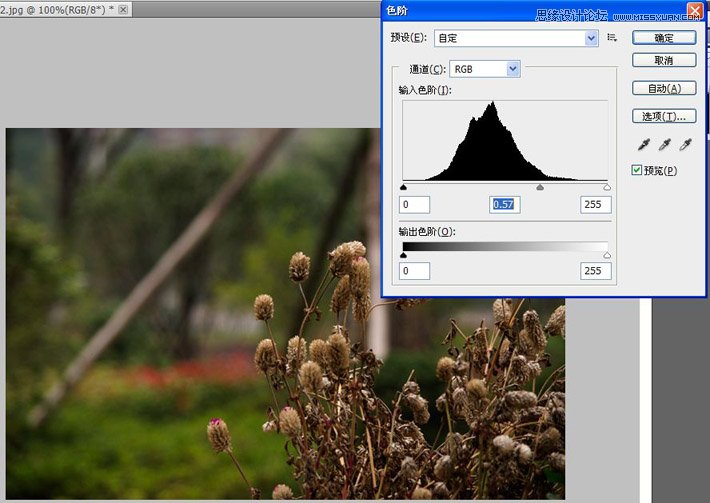 Photoshop详细解析色阶命令的使用原理,PS教程,16xx8.com教程网