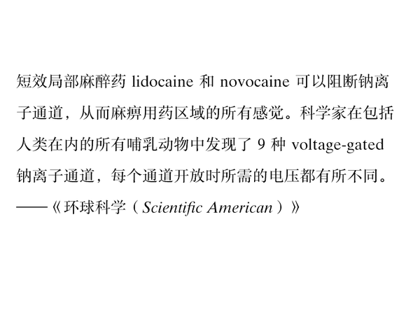 字体知识，哪种字体最适合快速阅读？