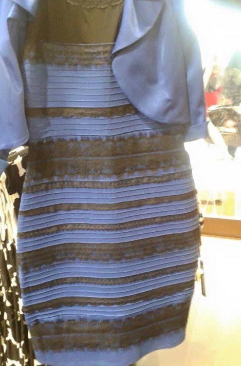 让设计师告诉你那条裙子到底是白金还是黑蓝