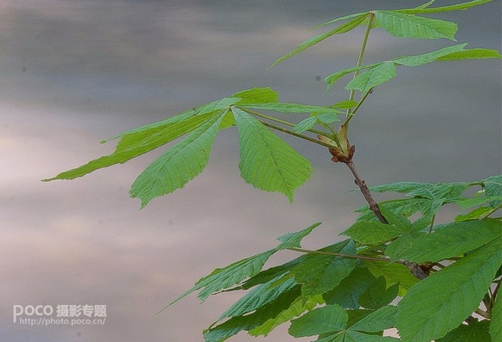 后期知识，通过实例讲解对比度清晰度和锐化的区别