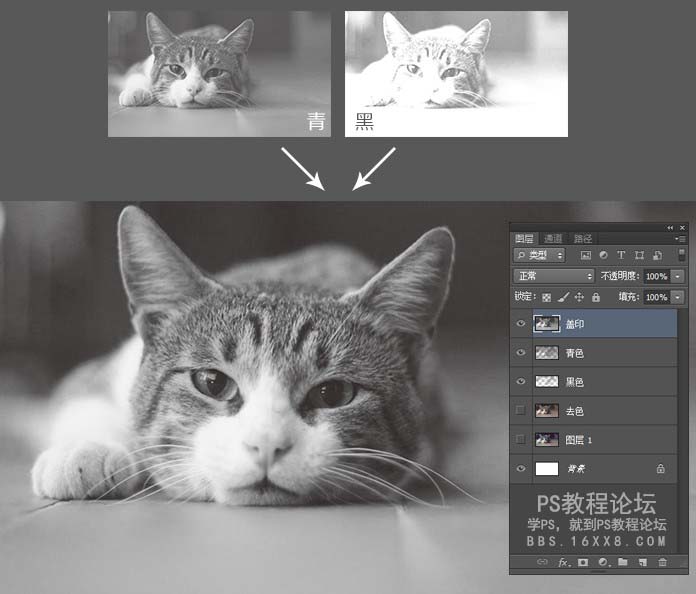 打印知识，如何把CMYK模式照片处理成单色黑的效果？