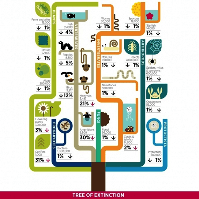 设计趋势，揭秘信息可视化图表的设计方法