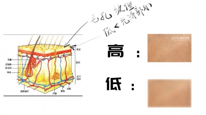 高低频，用实例解析高低频的应用和详细制作步骤