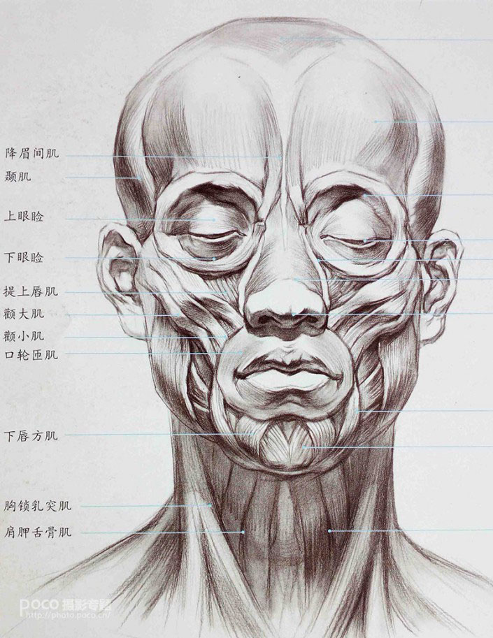 人像修图，讲解增强脸部立体感的方法