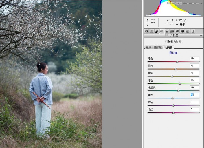 冷色效果，在PS里调出外景梅花人像唯美冷色效果