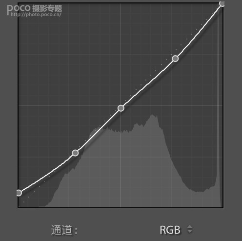 人像后期，通过PS制作森林精灵主题的人物照片