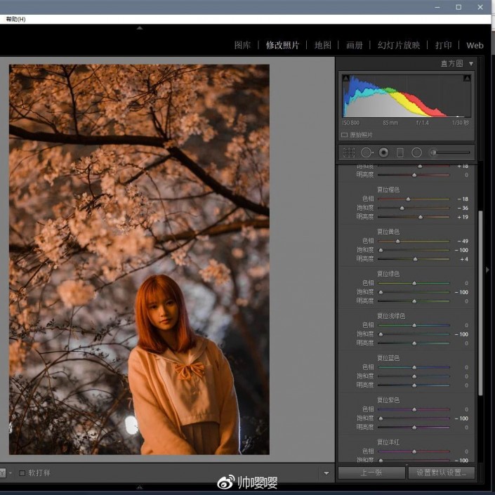 LR调色教程，用LR打造唯美的夜景樱花人像