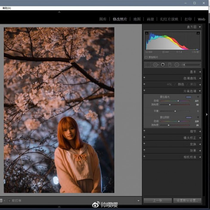 LR调色教程，用LR打造唯美的夜景樱花人像