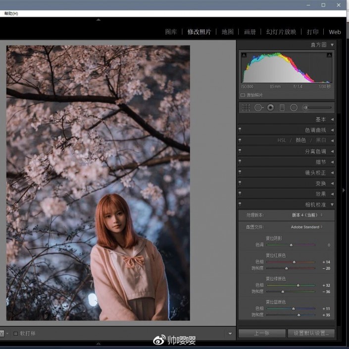 LR调色教程，用LR打造唯美的夜景樱花人像