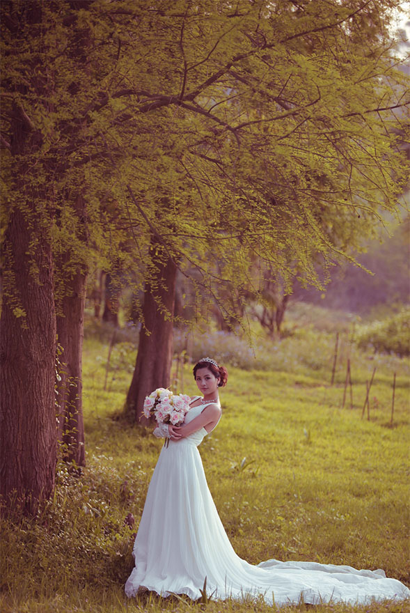 外景婚纱，调出淡雅的小树林婚纱照片
