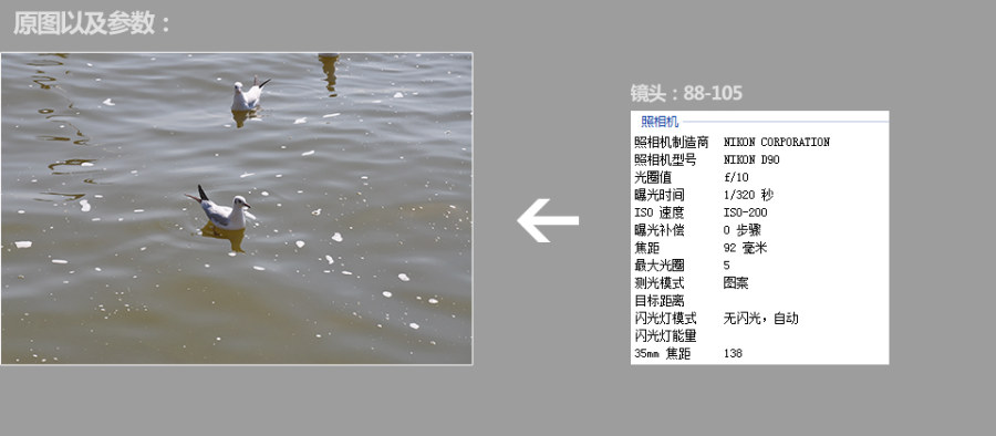 红嘴鸥-后期调色详细步骤分解【（只需十步）将浑浊的海水（湖水