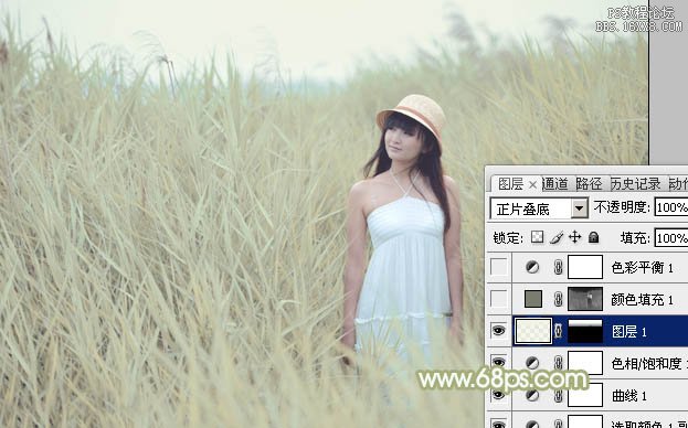 Photoshop打造非常淡雅的芦苇美女图片