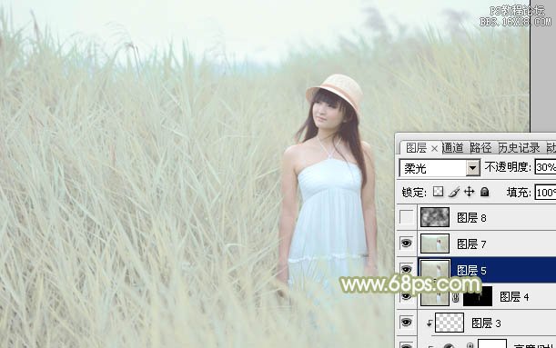 Photoshop打造非常淡雅的芦苇美女图片