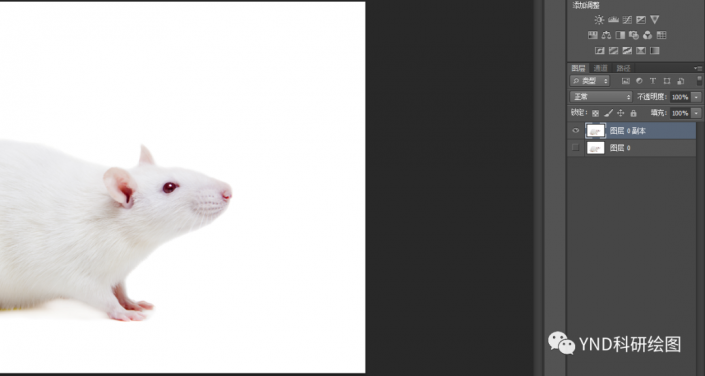 抠动物，快速抠出一只小白鼠