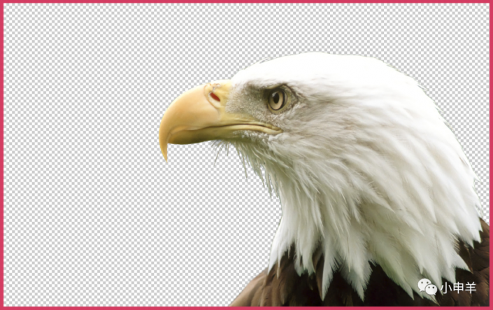 抠鸟类：用Photoshop抠出翱翔蓝天的雄鹰