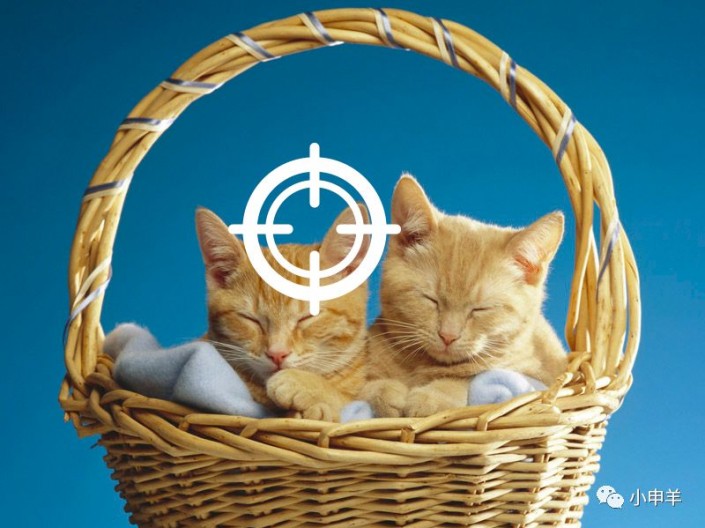 抠动物，用PS抠出边缘复杂篮子中的小猫咪