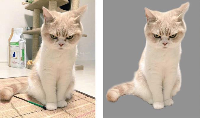 照片抠图：用Photoshop抠出一只可爱的小猫咪