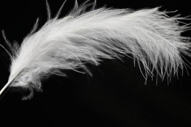 抠图教程：一招就能抠羽毛、玻璃、火焰
