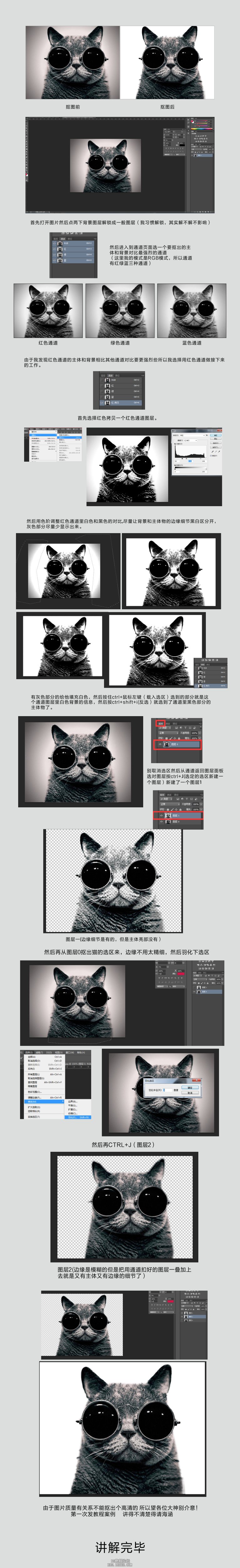 CC通道抠图：利用通道抠出眼镜猫图片。
