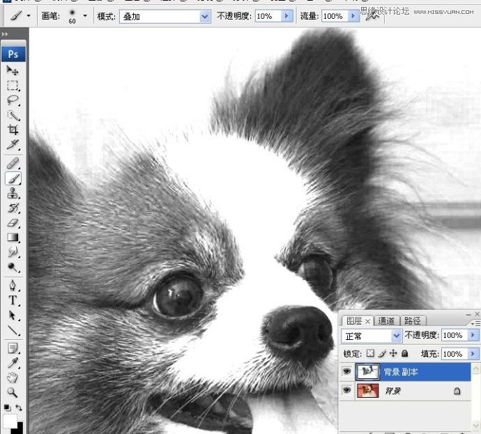 Photoshop使用通道混合器给狗狗抠图,PS教程,16xx8.com教程网