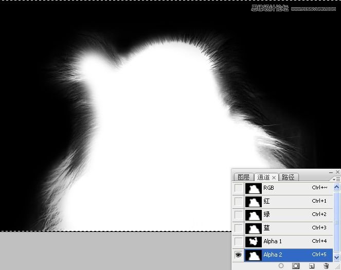 Photoshop使用通道混合器给狗狗抠图,PS教程,16xx8.com教程网
