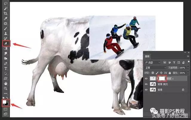 创意合成，制作一副运动员在奶牛背上滑雪的创意图片