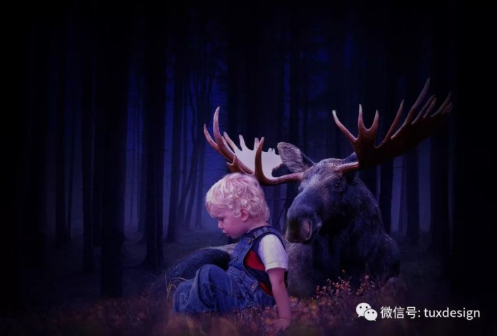 场景合成，制作森林里面的小男孩和小鹿