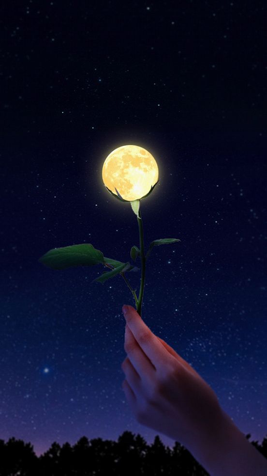 创意合成，合成一朵梦幻极具创意的玫瑰花月亮照片