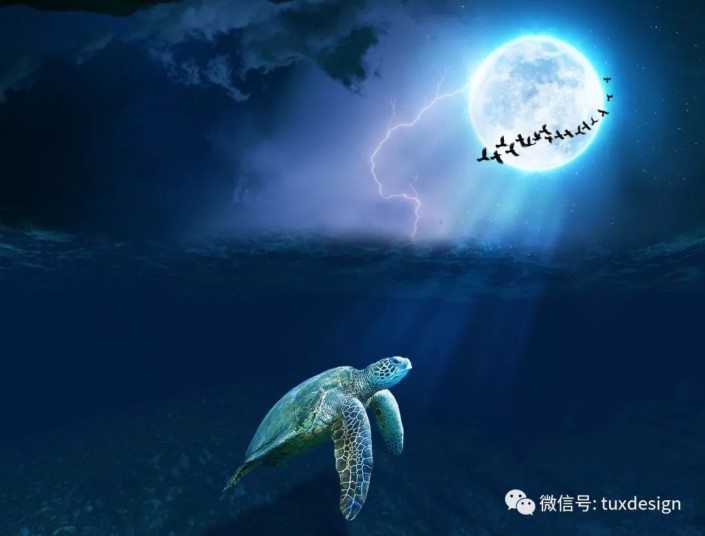 梦幻合成：用Photoshop和深海海龟的夜游旅行