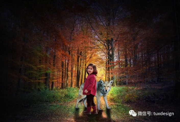 场景合成：通过Photoshop合成一张森林偶遇记的童话场景