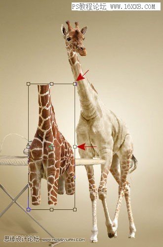 创意合成，通过PS制作一幅创意的长颈鹿熨衣服的创意图片