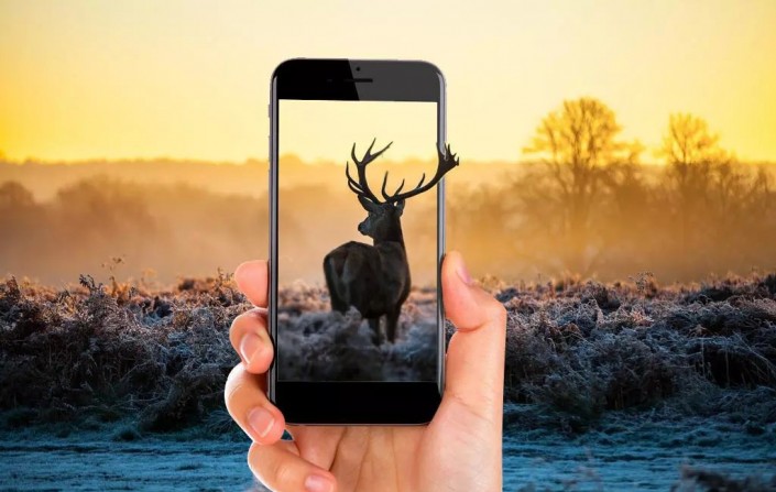 场景合成：通过Photoshop合成一副小鹿钻出手机的3D出屏画面