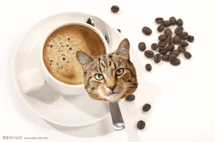 场景合成，通过PS合成猫咪拉花图案的咖啡
