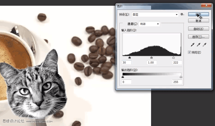 场景合成，通过PS合成猫咪拉花图案的咖啡