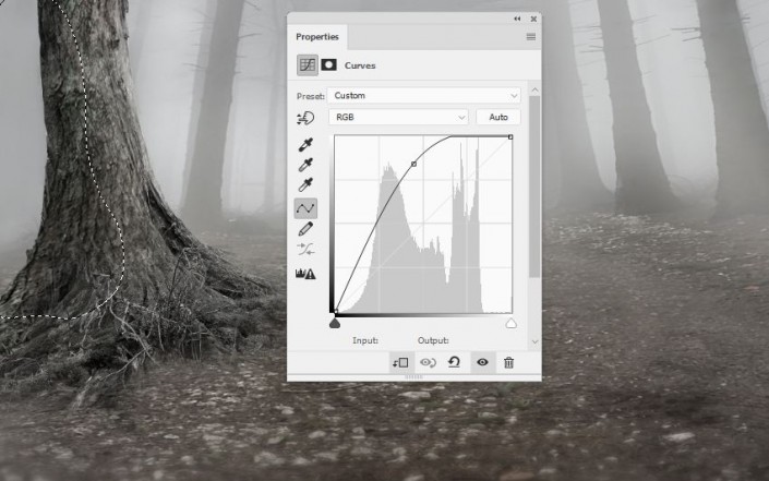 如何创建一个神秘的森林场景与Adobe Photoshop