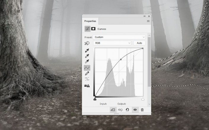 如何创建一个神秘的森林场景与Adobe Photoshop