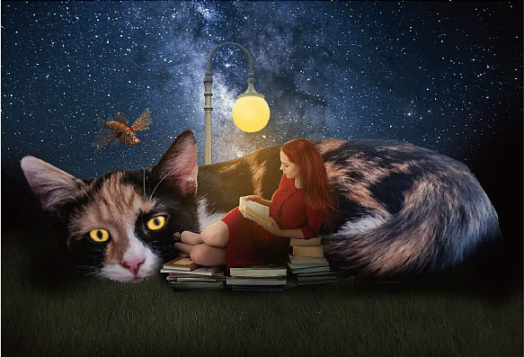 照片合成：Photoshop合成星空下女孩和猫咪依偎阅读的梦幻场景