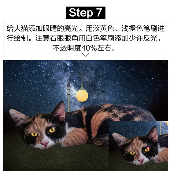 照片合成，PS合成星空下女孩和猫咪依偎阅读的梦幻场景