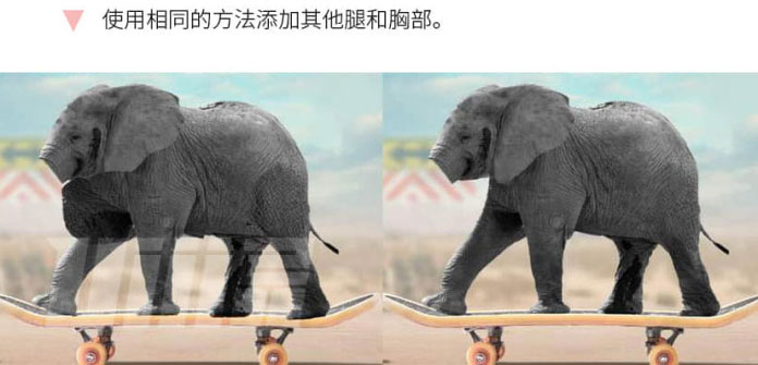 合成效果，用PS合成小老鼠和大象玩滑板的画面