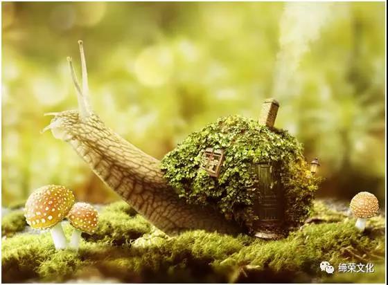 照片合成：用Photoshop合成一只载有房屋的幻想蜗牛