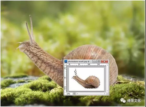 照片合成，用PS合成一只载有房屋的幻想蜗牛