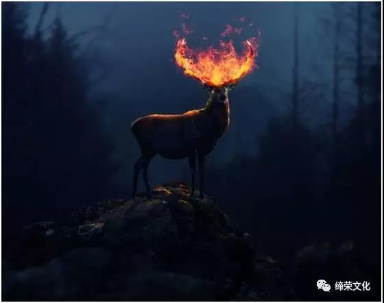照片合成，用PS合成一个梦幻火焰鹿