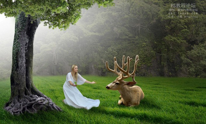 森林场景，合成女人与鹿梦幻森林场景教程