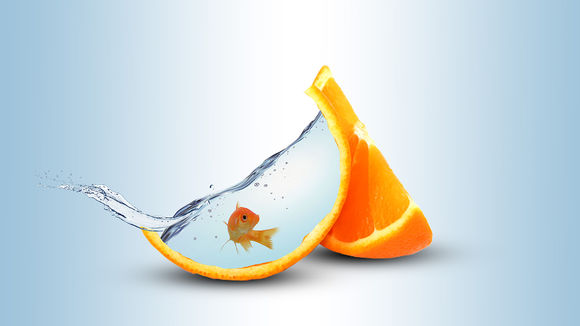 创意合成：合成一只橙皮鱼缸