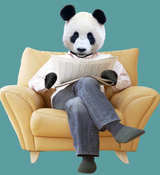 场景合成，合成一张在读报纸的熊猫人场景
