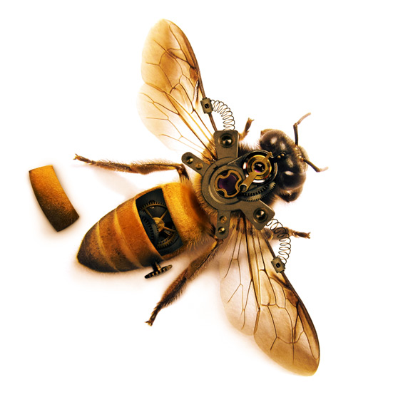动物恶搞：恶搞合成一只机械蜜蜂实例