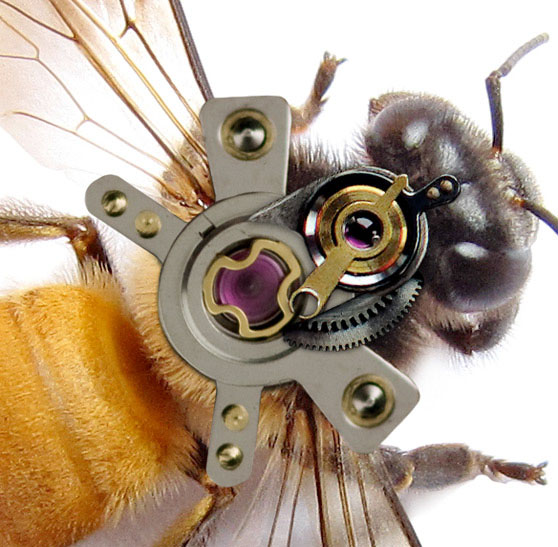 动作恶搞，恶搞合成一只机械蜜蜂实例