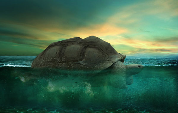场景合成，合成奇异的海洋岛龟场景